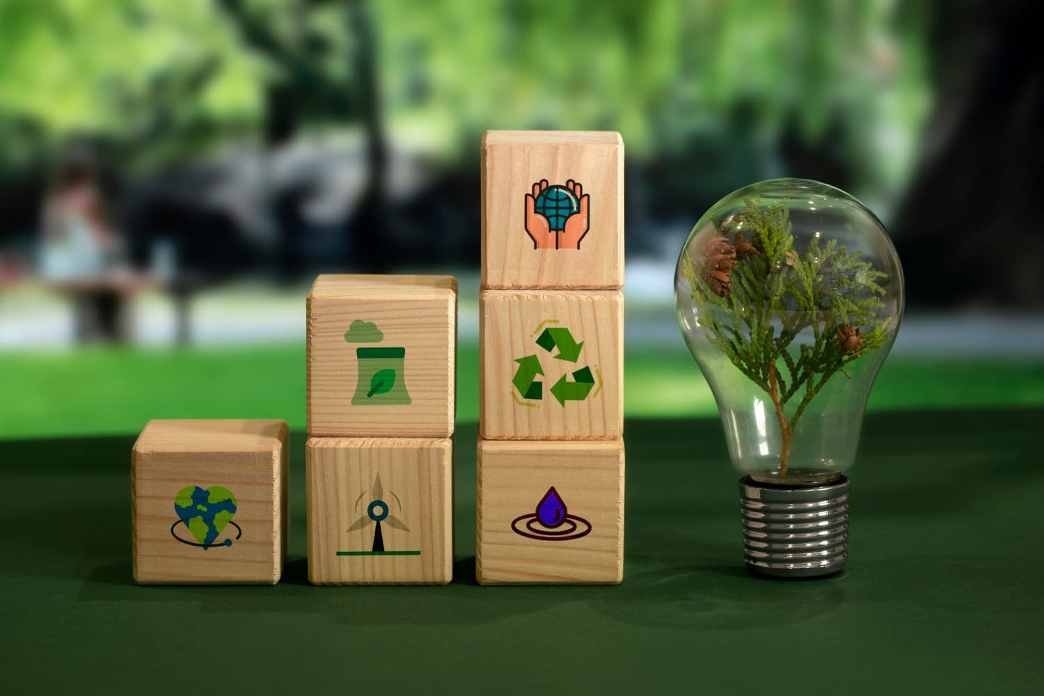 Decarbonization & Carbon Footprint Management